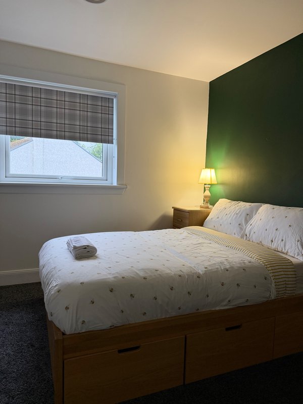 Bedroom with double bed, green accent wall, wooden frame and bedside lamp