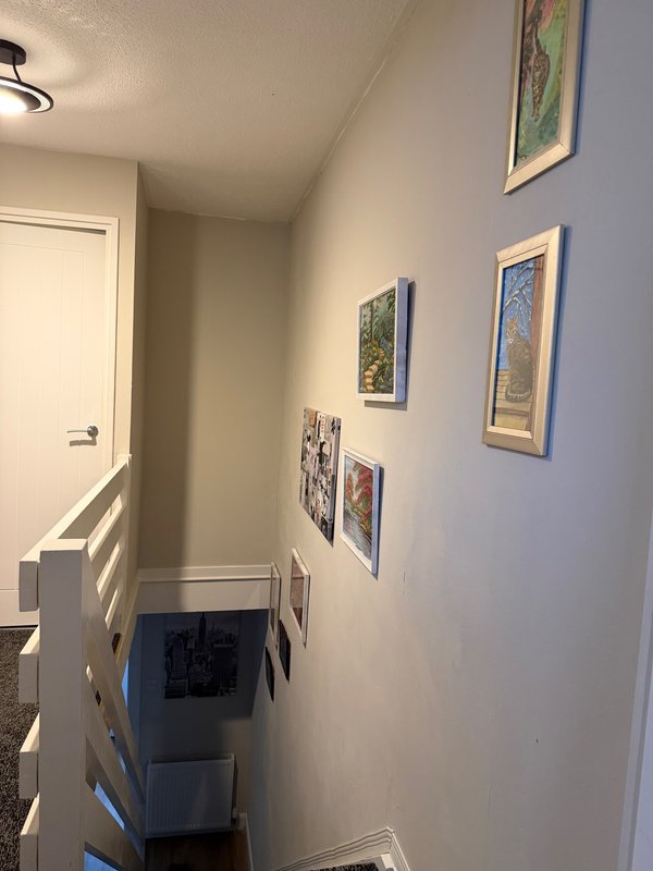 Narrow hallway with framed artwork on walls, white door, and storage bin