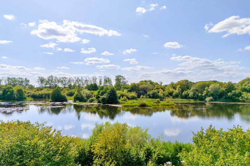 River landscape with green vegetation, trees, and blue sky with clouds