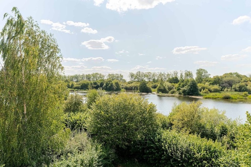 Scenic view of river with green trees and vegetation, blue sky with clouds