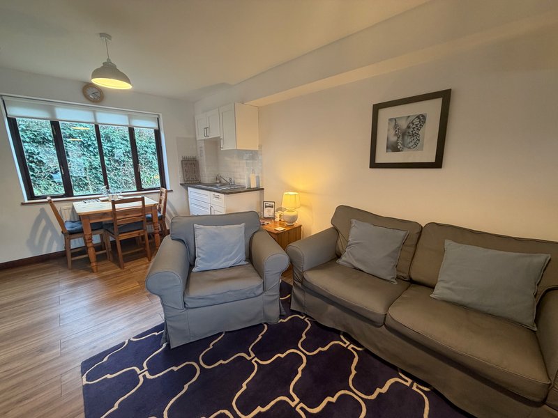 Living room with grey sofa, armchair, patterned rug, dining table and large windows