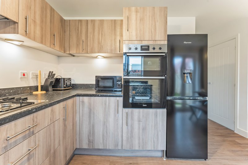 Modern kitchen with light wood cabinetry, black granite countertop, stainless steel appliances and black fridge