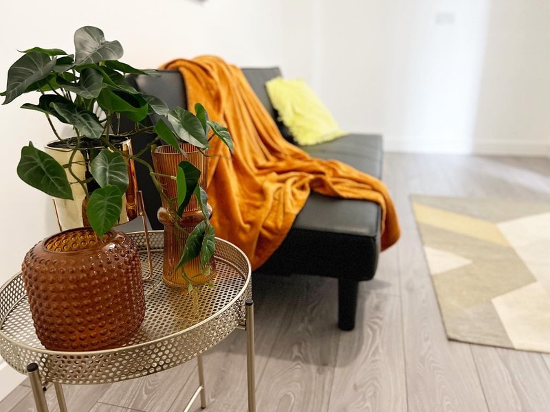 Living room with potted plant on side table, grey sofa with yellow and orange throws