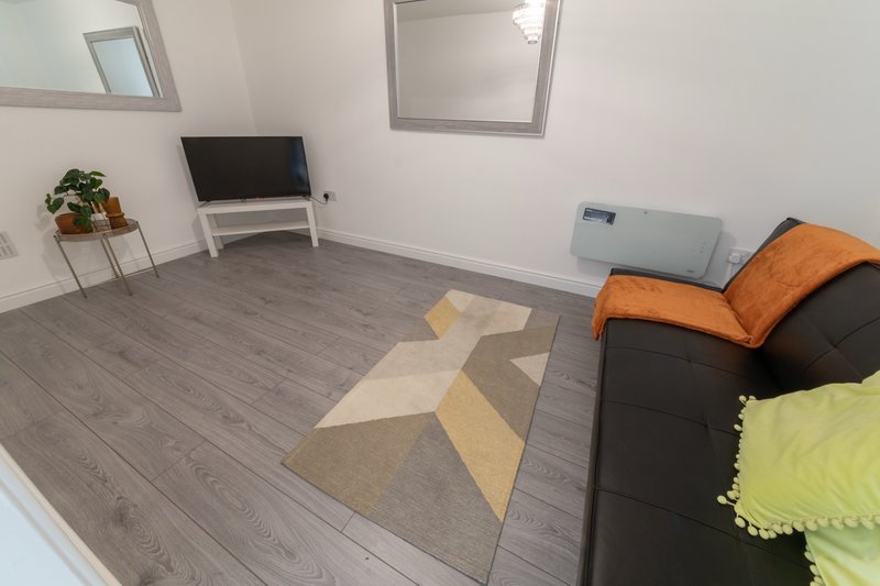 Modern living room with dark sofa, geometric rug, TV stand and potted plant