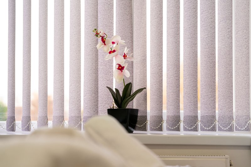 Potted orchid with red and white flowers on windowsill with vertical blinds