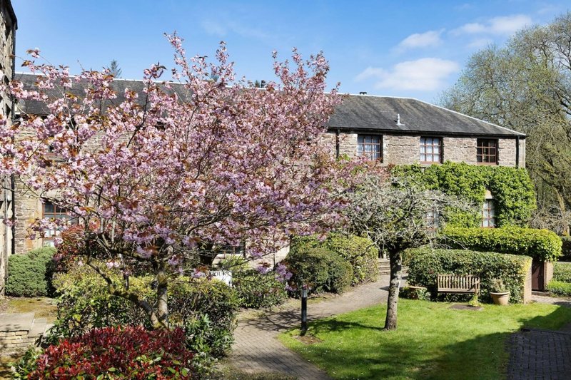 Stone cottage with ivy-covered walls, blooming cherry tree, manicured garden and wooden bench