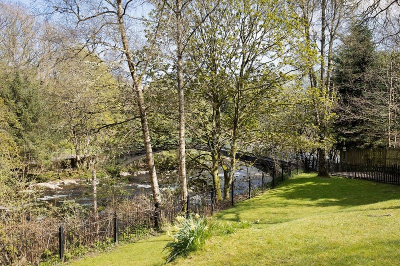 Green sloping garden with fencing, mature trees and stream running through woodland