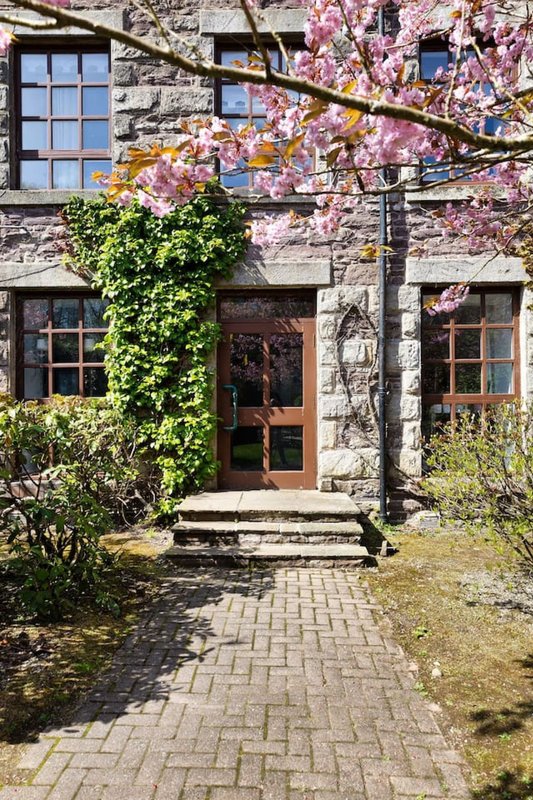 Stone cottage exterior with flowering cherry tree, ivy-covered walls, wooden door and windows
