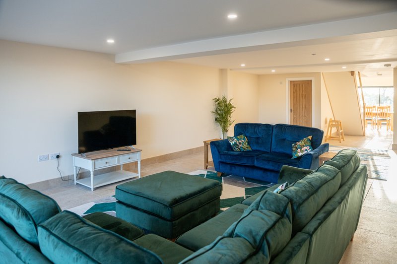 Open-plan living room with blue and green sofas, TV, potted plant, and wooden door