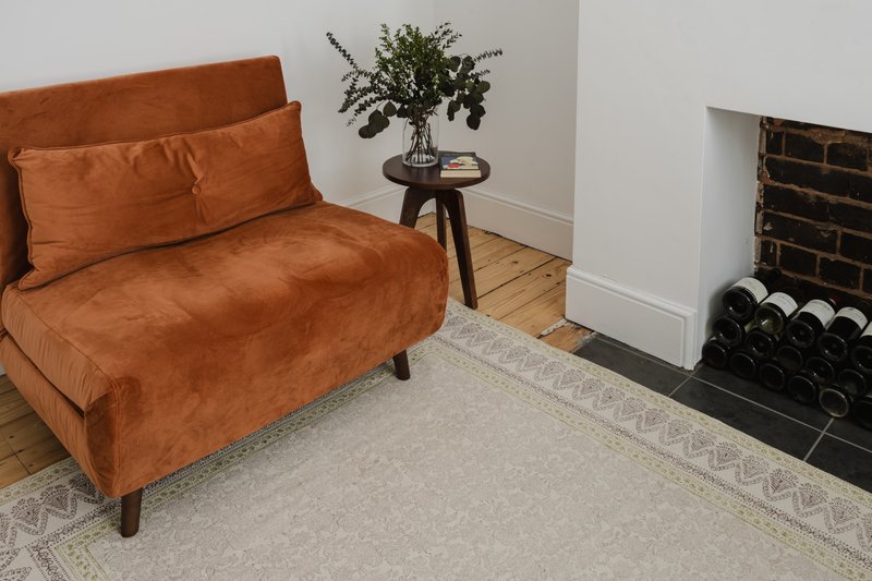 Modern living room with rust-colored sofa, side table with potted plant, and fireplace