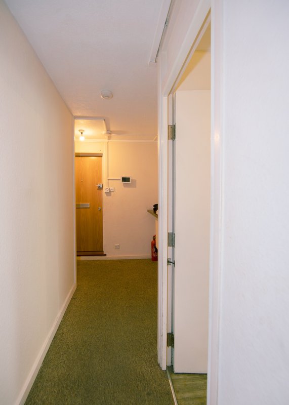 Narrow hallway with green carpet, white walls, wooden door and light fixture