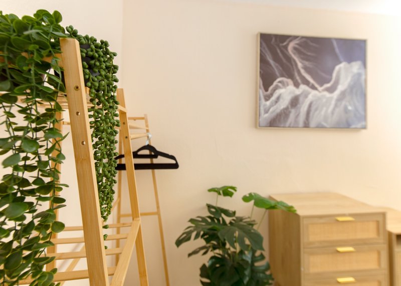 Bright room with wooden ladder, hanging plants, framed wall art, and wooden dresser