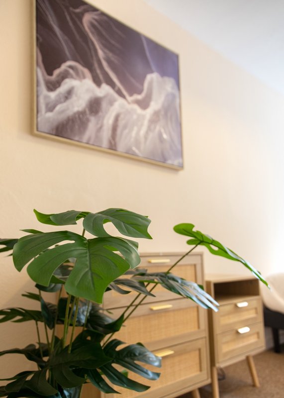 Bedroom interior with potted plant, wooden dresser, and framed wall art