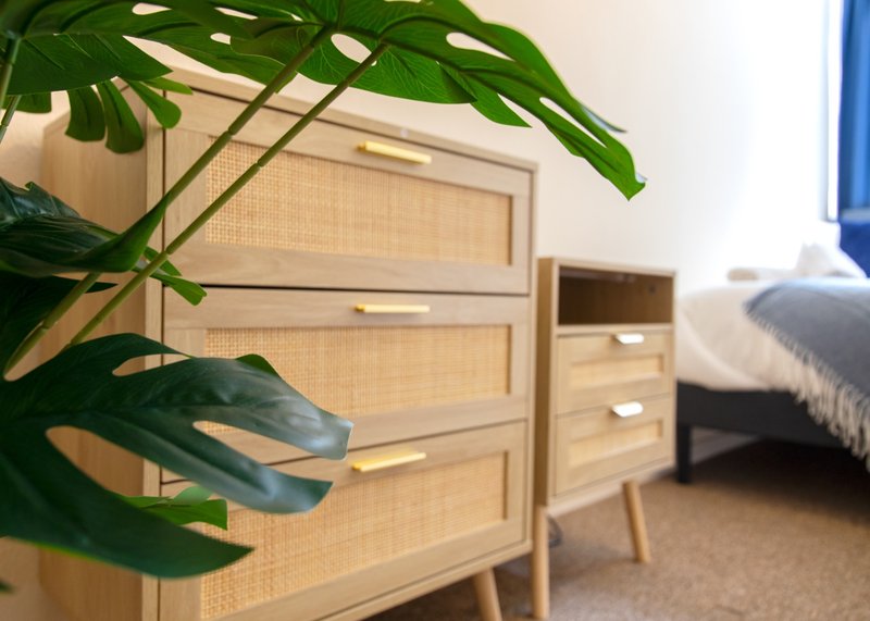 Wooden dresser with rattan panels and potted plant in bright bedroom interior