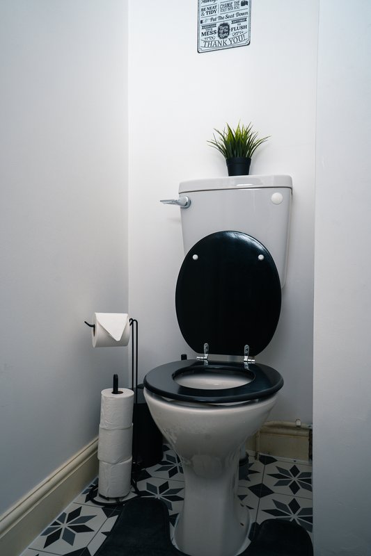 Compact bathroom with toilet, black seat, small potted plant, and patterned floor tiles