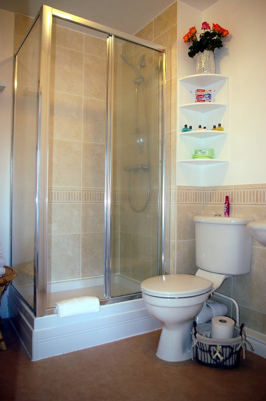 Bathroom with shower enclosure, toilet, sink, shelving with toiletries and decorative items