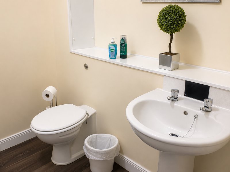 Bathroom with toilet, pedestal sink, mirror, shelving with toiletries and decorative plant