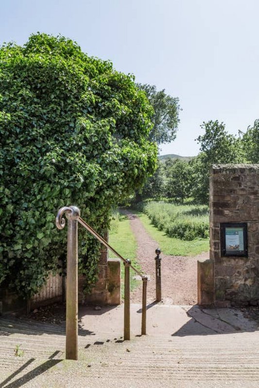 Garden pathway with wooden handrail, ivy-covered wall, and stone building entrance
