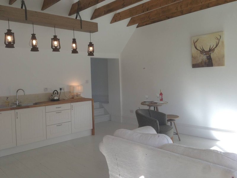 Open-plan studio with white cabinetry, kitchenette, sofa, exposed beams and pendant lighting