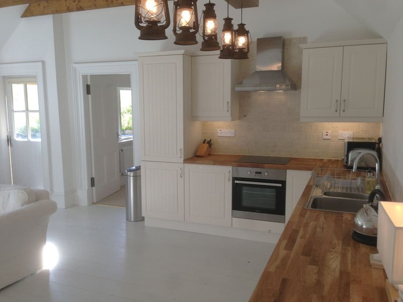 Modern kitchen with white cabinetry, wooden countertops, stainless steel appliances and pendant lighting