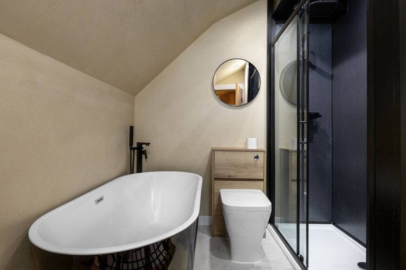 Modern bathroom with freestanding white bathtub, toilet, and walk-in shower enclosure