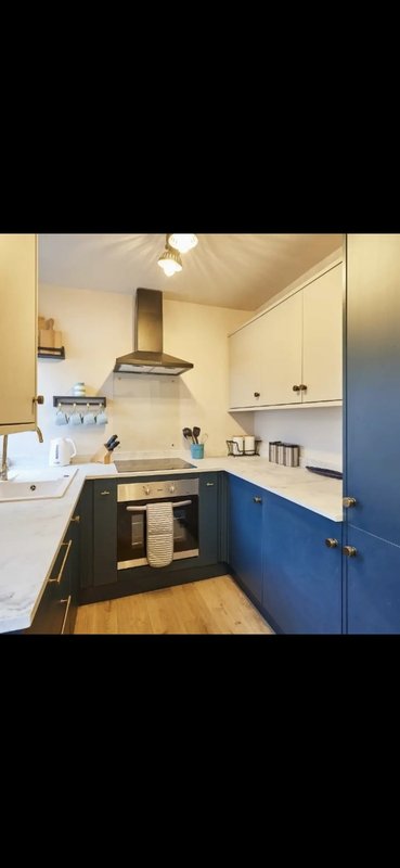 Modern kitchen with blue cabinetry, black cooker, range hood, and wooden flooring