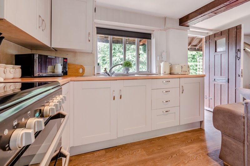 Bright modern kitchen with white cabinetry, wooden countertops, stainless steel appliances and garden view