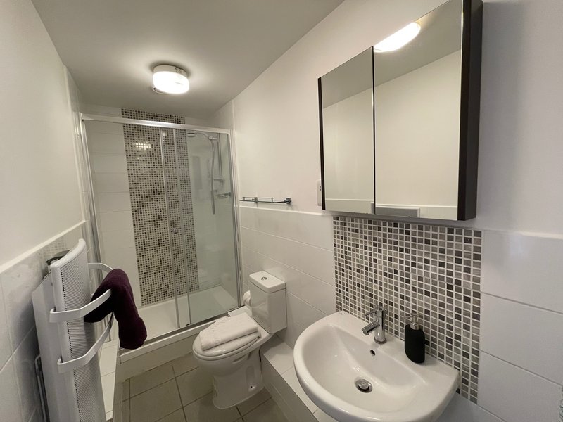 Modern bathroom with walk-in shower, white sink, toilet, and mirrored cabinet