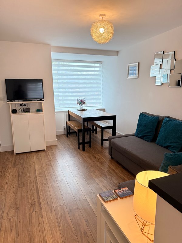 Modern studio living room with sofa, dining table, TV unit, and pendant light fixture