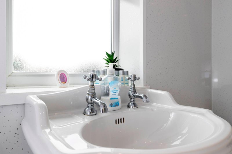 Bright bathroom sink with chrome faucet, soap dispenser, small potted plant and window