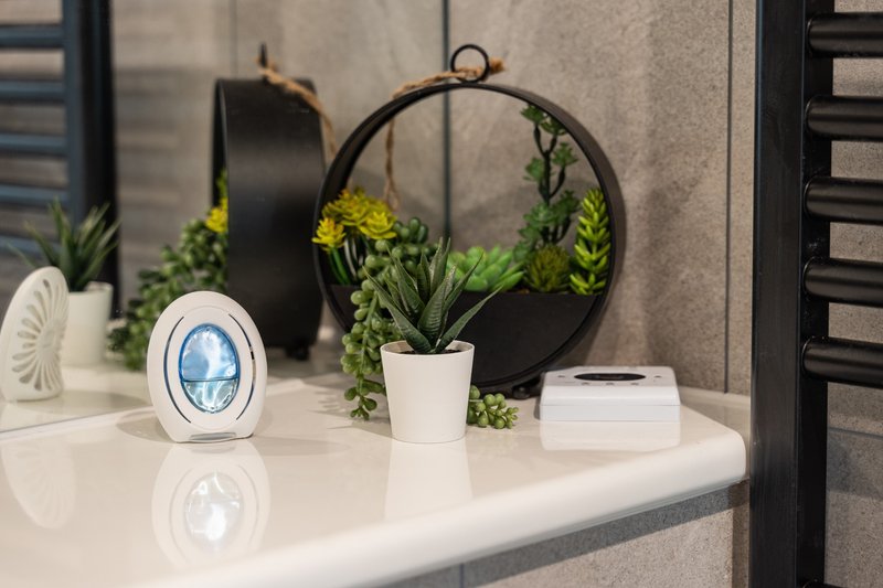 Modern bathroom shelf with potted plants, decorative items, and wall-mounted planters