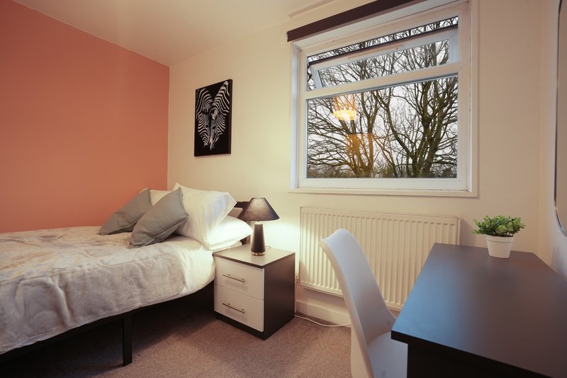 Bedroom with single bed, desk, bedside table, window with bare trees view