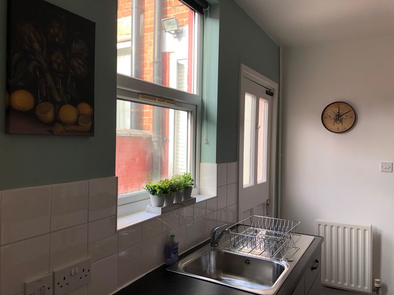 Kitchen with sink, window, potted plants, wall clock and framed fruit artwork