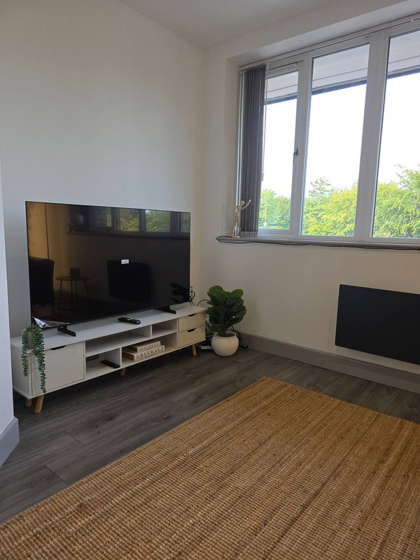 Modern living room with TV on white stand, potted plant, wooden floor and large window