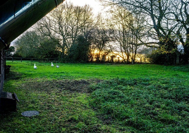 Sheep Shed - Sheep Shed | Rural Farm Cottage | 2bd & 2bth