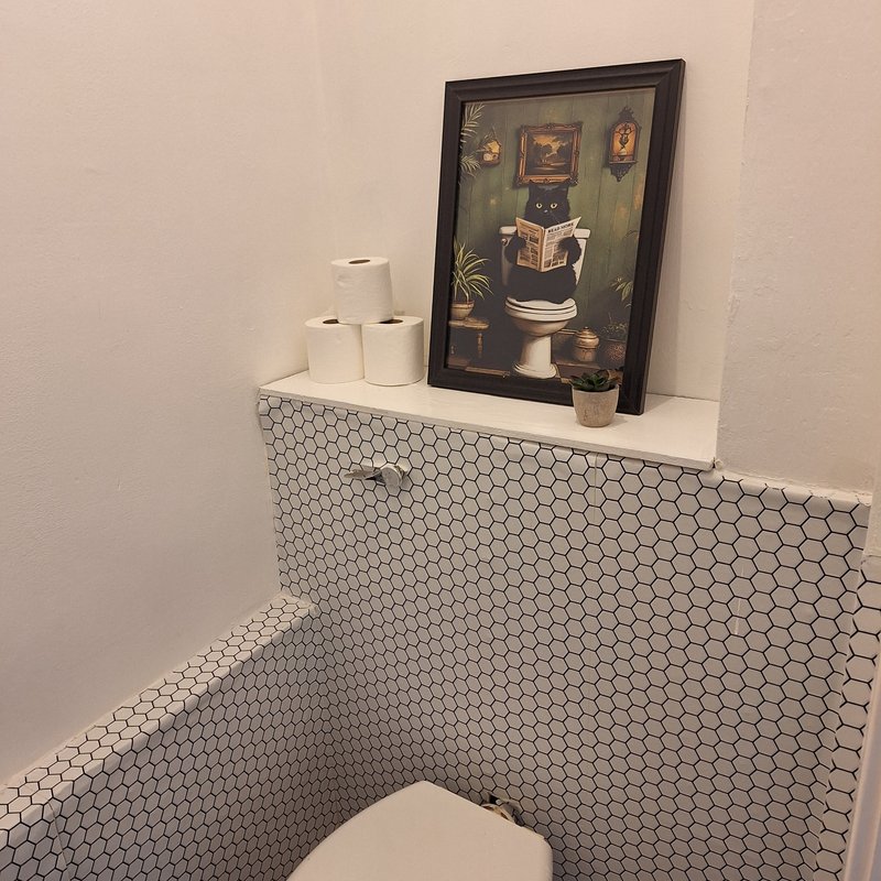 Bathroom toilet area with hexagonal tile backsplash, toilet paper rolls, and framed artwork on shelf.