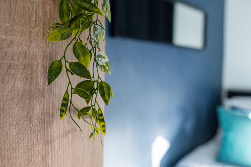 Interior detail with trailing green plant against wooden wall panelling