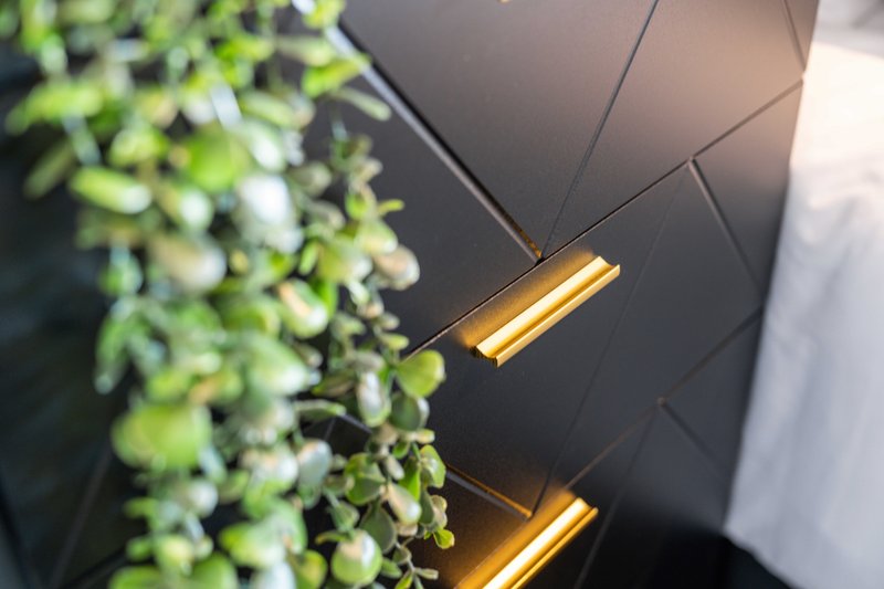 Modern ceiling with recessed lighting and decorative trailing green plant