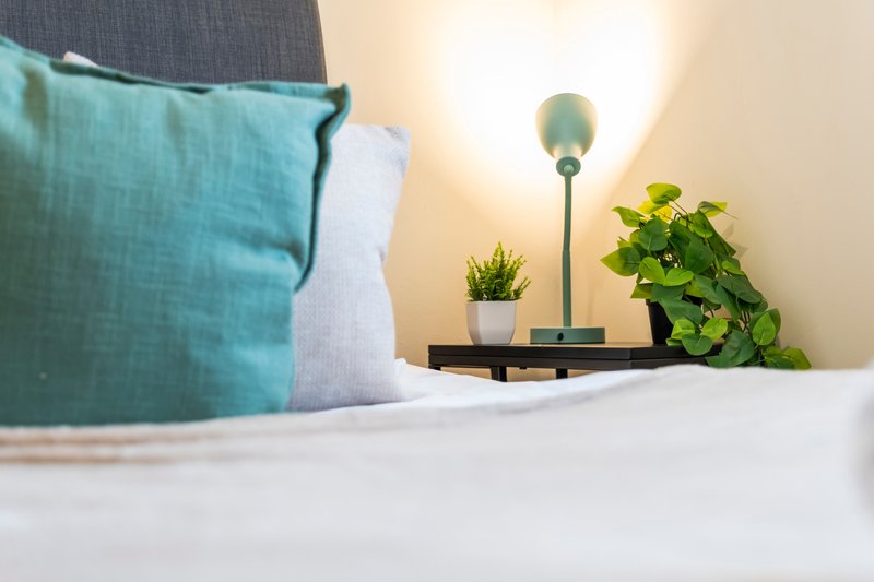 Bedroom detail with teal and grey cushions, potted plants and floor lamp on bedside table