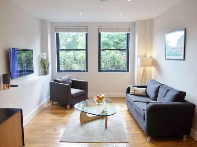Modern living room with blue sofa, armchair, glass coffee table and large windows