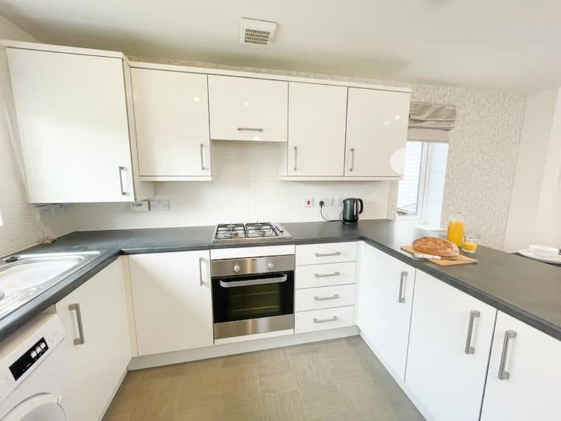 Modern kitchen with white cabinets, black countertops, gas hob and stainless steel appliances