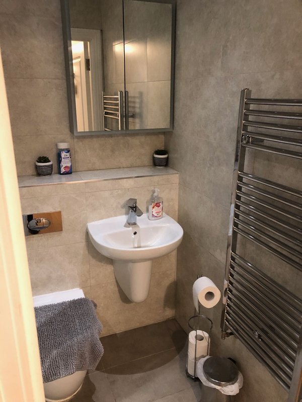 Modern bathroom with pedestal sink, mirrored cabinet, heated towel rail and toilet