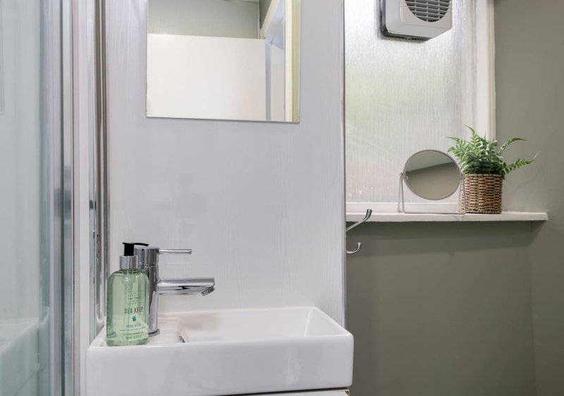 Modern bathroom with white sink, mirror, potted plant and chrome fixtures