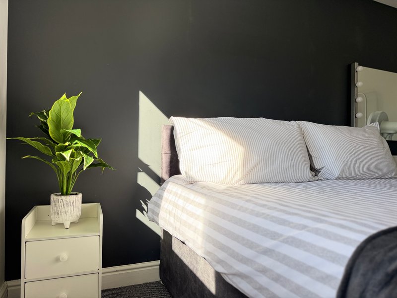 Bedroom with dark accent wall, striped bedding, white nightstand and potted plant
