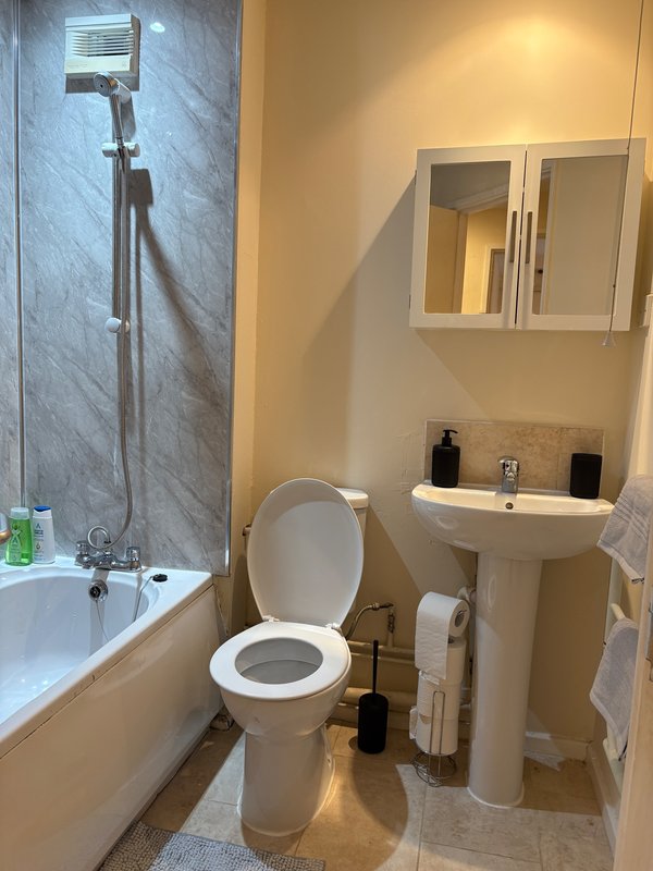 Modern bathroom with toilet, pedestal sink, bathtub, shower enclosure and wall-mounted cabinets