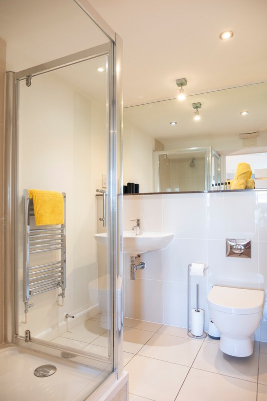 Modern bathroom with walk-in shower, toilet, sink and heated towel rail