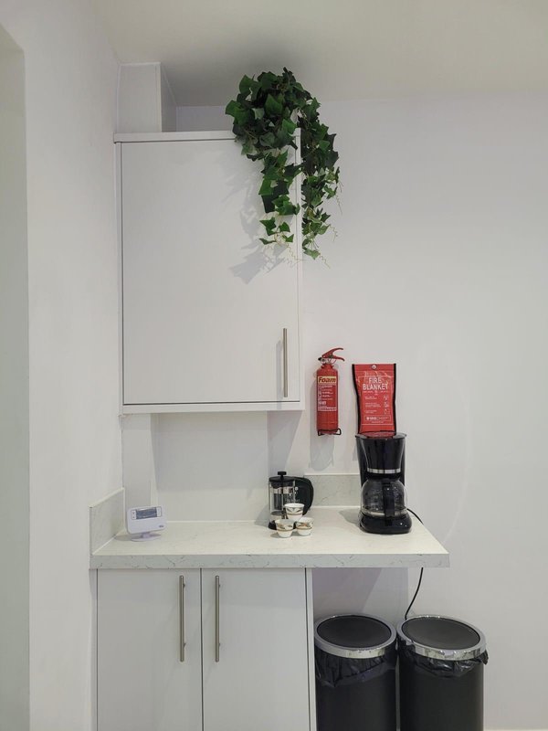 Kitchen corner with white cabinets, shelving, potted plant, and small appliances