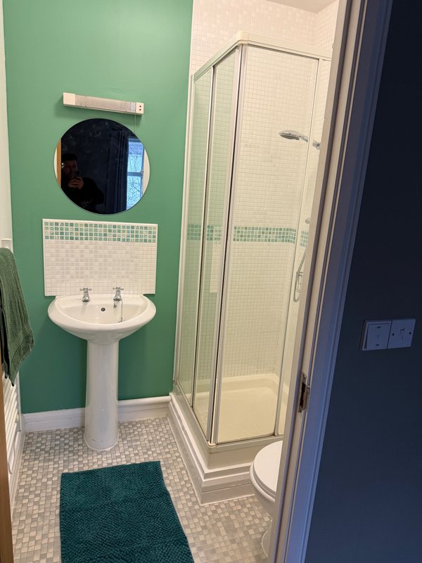 Bathroom with green wall, pedestal sink, round mirror, shower enclosure and green mat