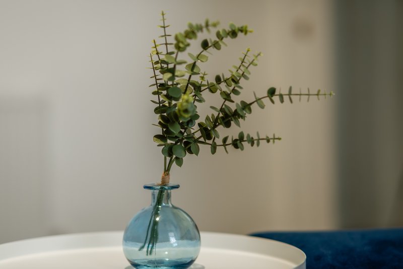 Blue glass vase with fresh eucalyptus stems on white table