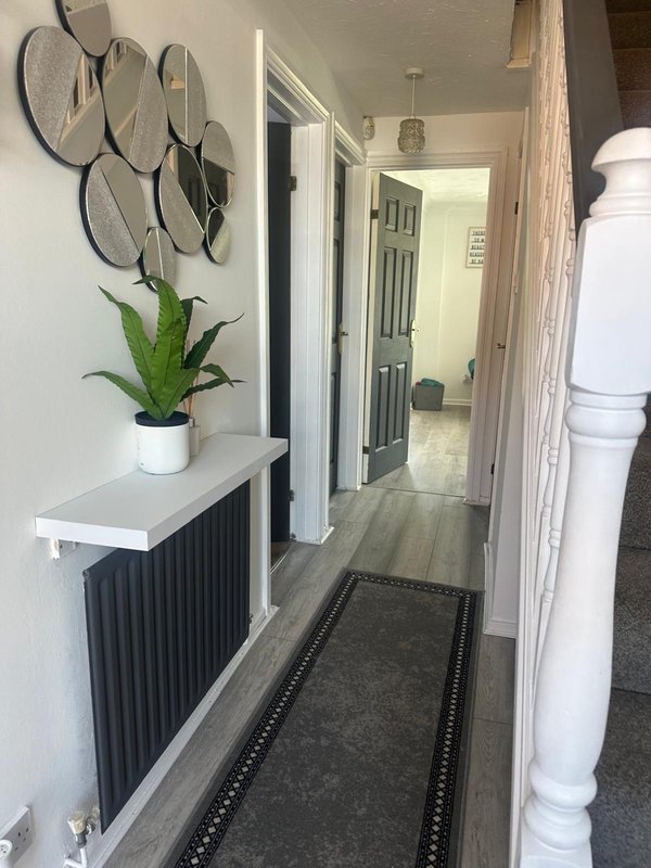 Modern hallway with decorative plates on wall, plant on shelf, dark runner rug